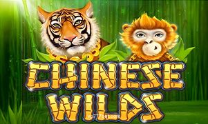 vp777 Chinese Wilds Game Image